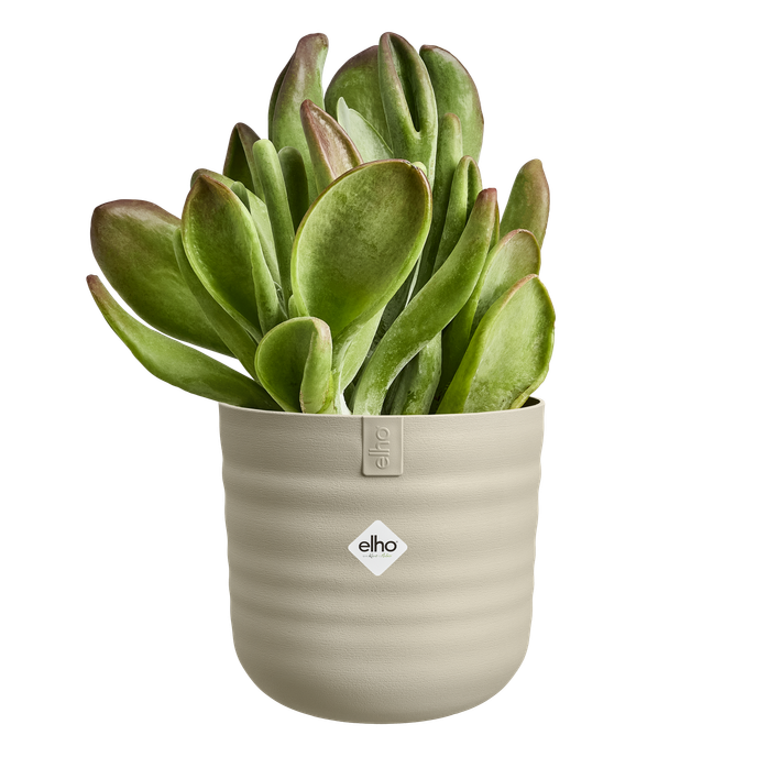 dune rond 14cm mushroom beige